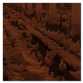 Gallerie de nos sooting photos