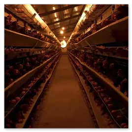 Gallerie de nos sooting photos